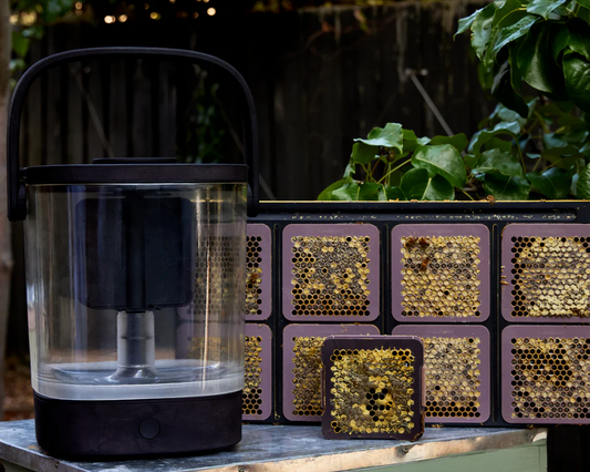 Micro Honey Harvester - 5 Deep Frame Starter Kit
