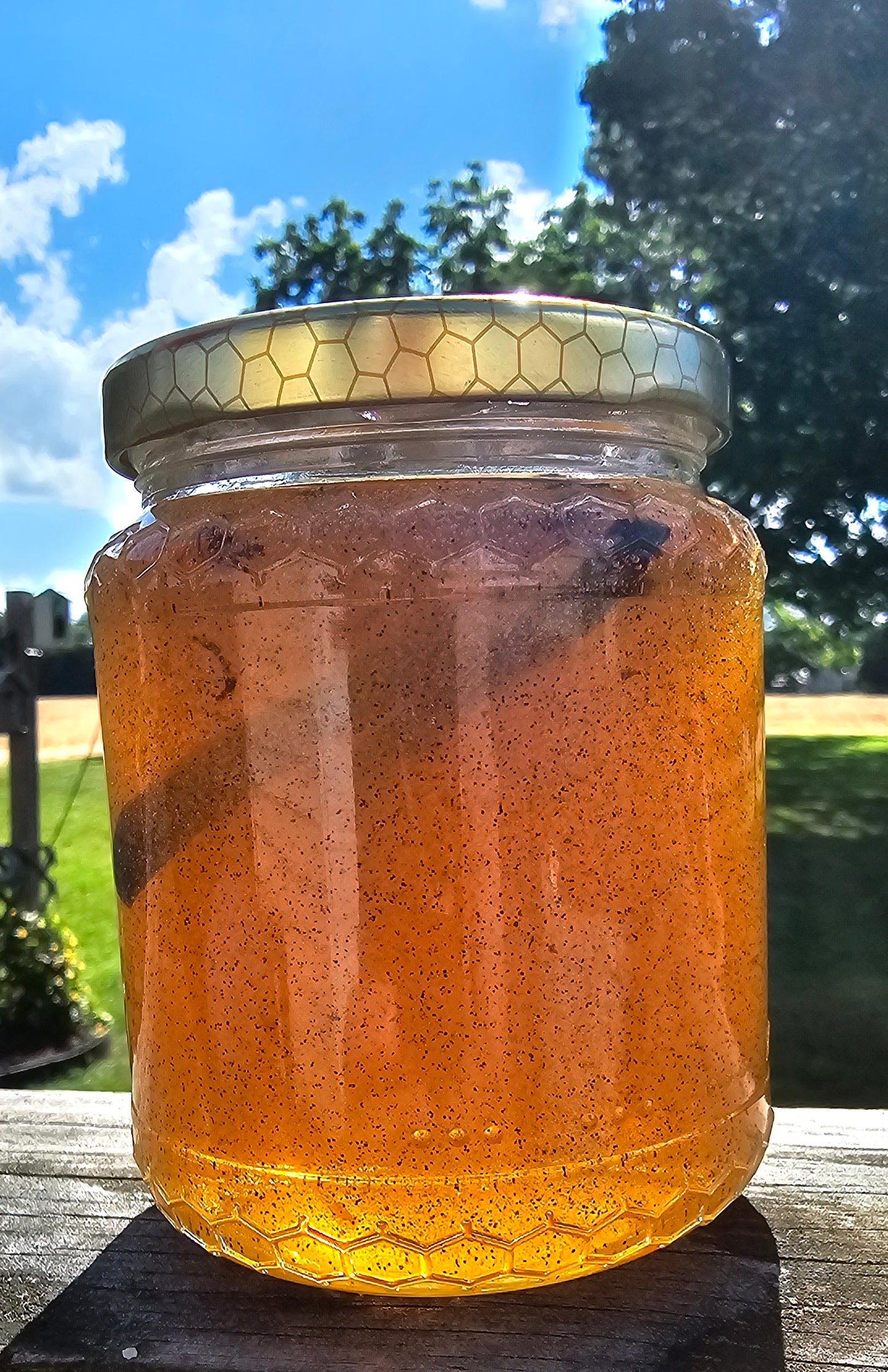 Honey - Vanilla Infused 🍯