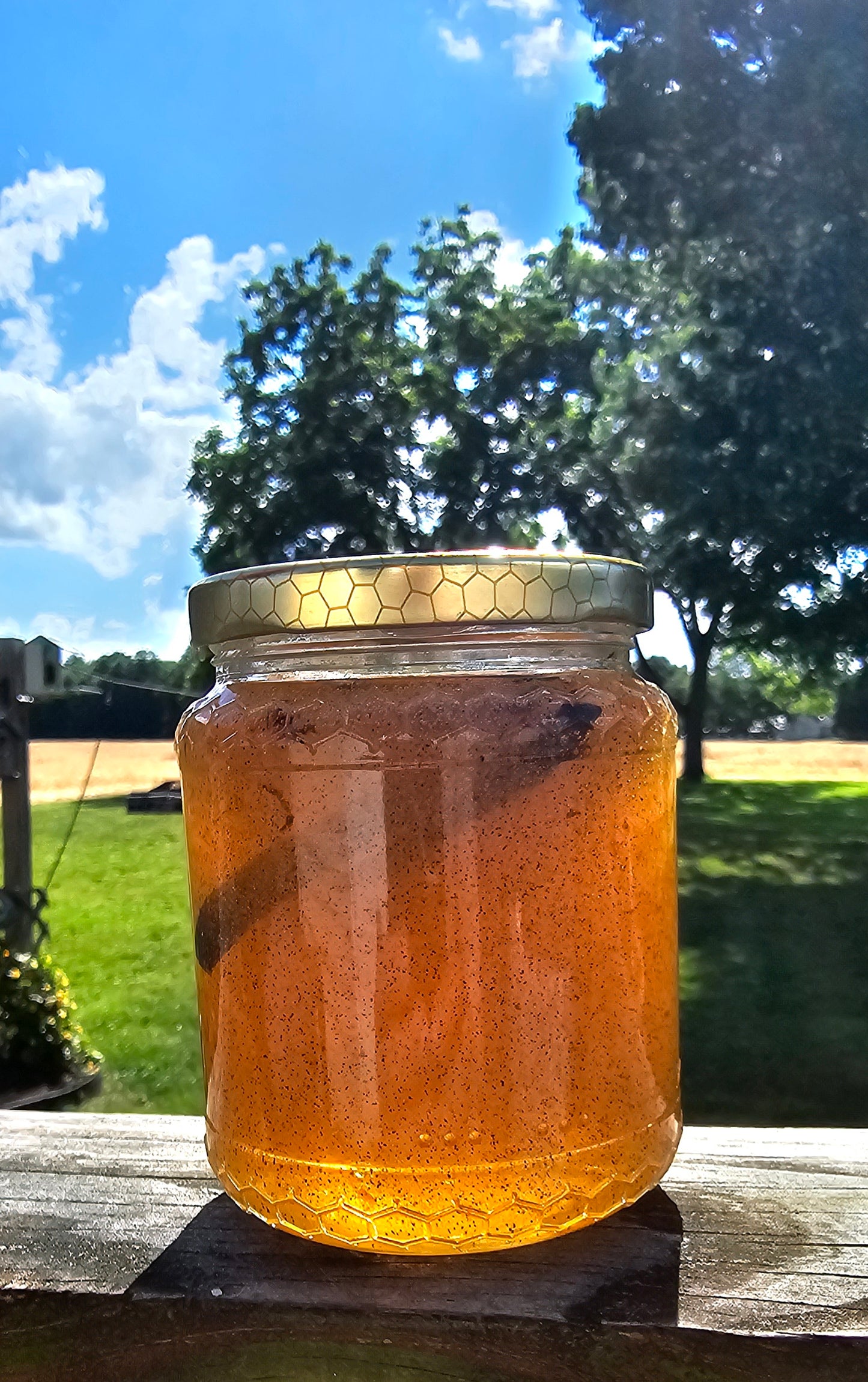 Honey - Vanilla Infused 🍯