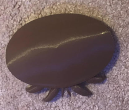 3D Printed Model Varroa 🪲 🖨️ (3D Printed)